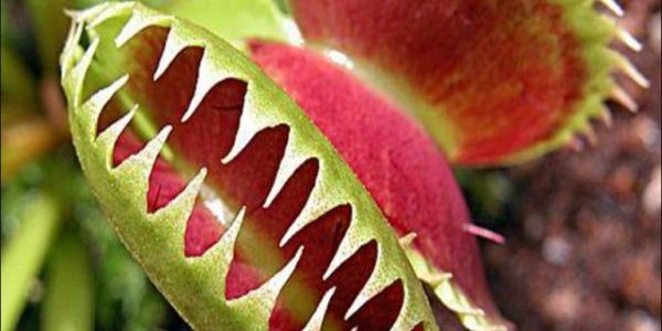 Unbelievable Tales: The Most Insane Penis Stories You’ll Ever Hear